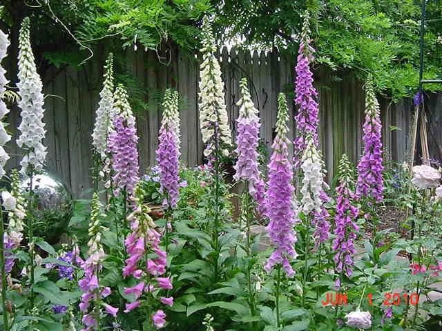 Local outdoor landscaping in Pittsburgh, PA by East End Landscaping