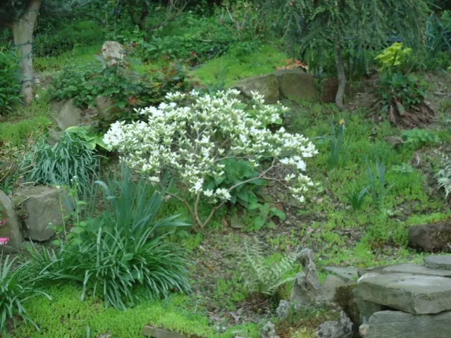 Affordable landscape design experts serving Pittsburgh, PA - East End Landscaping