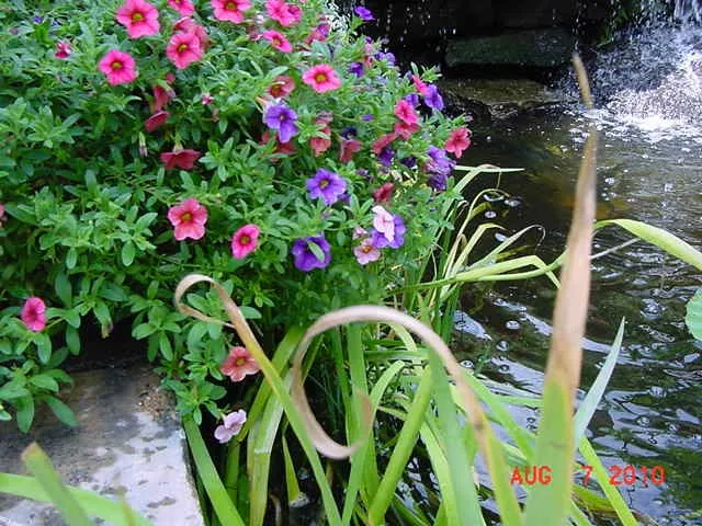 Expert landscape installation in Pittsburgh, PA - East End Landscaping