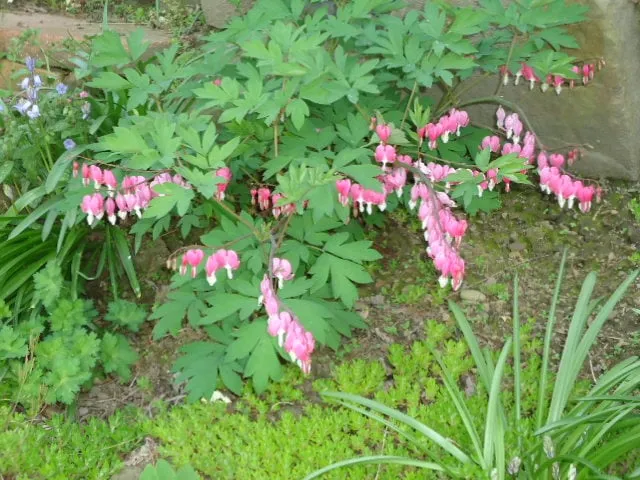 Affordable residential landscaping in Pittsburgh, PA by East End Landscaping