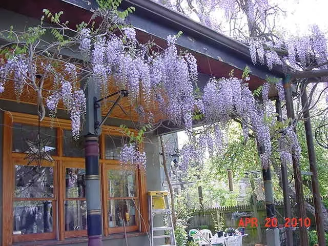 Affordable yard cleanup service for residential properties in Pittsburgh, PA by East End Landscaping