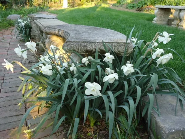 Reliable lawn mowing service in Pittsburgh, PA by East End Landscaping