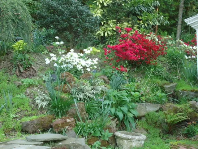 Professional landscaping services experts serving Pittsburgh, PA - East End Landscaping