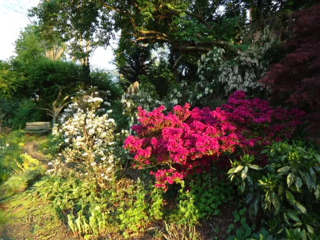 Local lawn mowing service for outdoor upgrades in Pittsburgh, PA by East End Landscaping