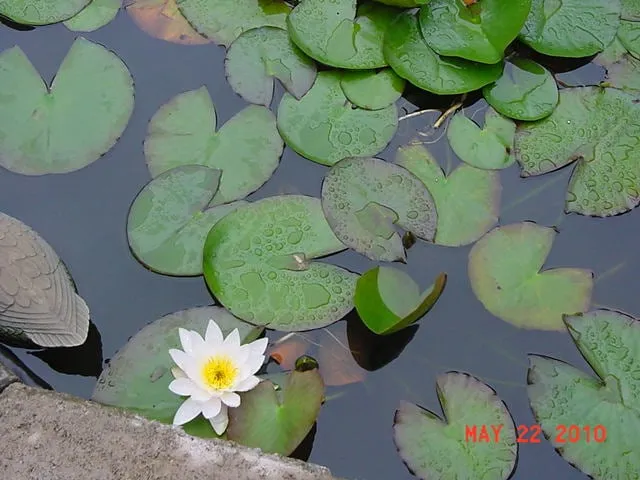 Expert residential landscaping for residential properties in Pittsburgh, PA by East End Landscaping