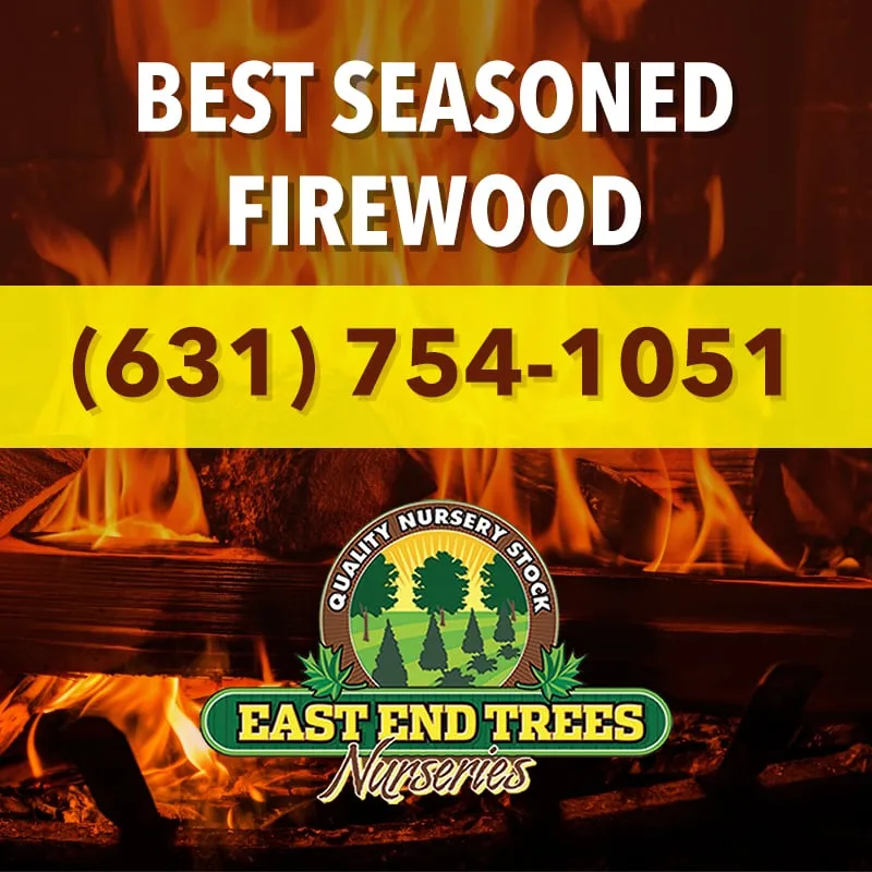 Affordable landscape design in Kings Park, NY - East End Trees