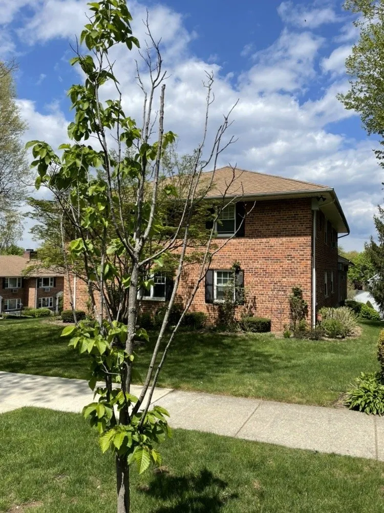 Trusted lawn mowing service in Kings Park, NY by East End Trees