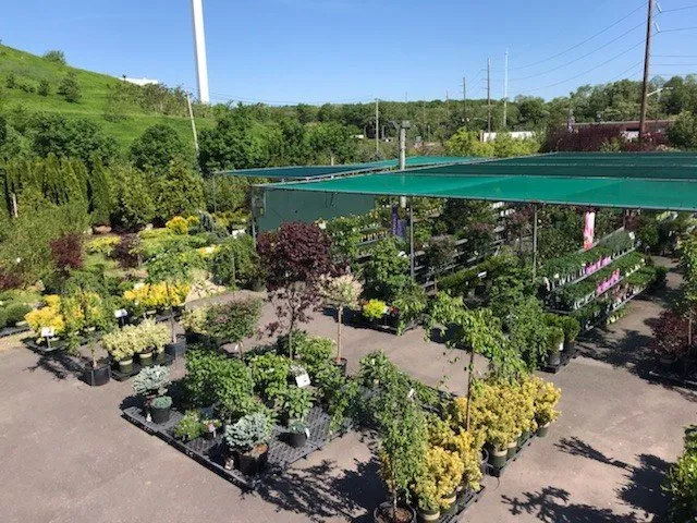 Professional yard cleanup service for residential properties across Kings Park, NY - East End Trees