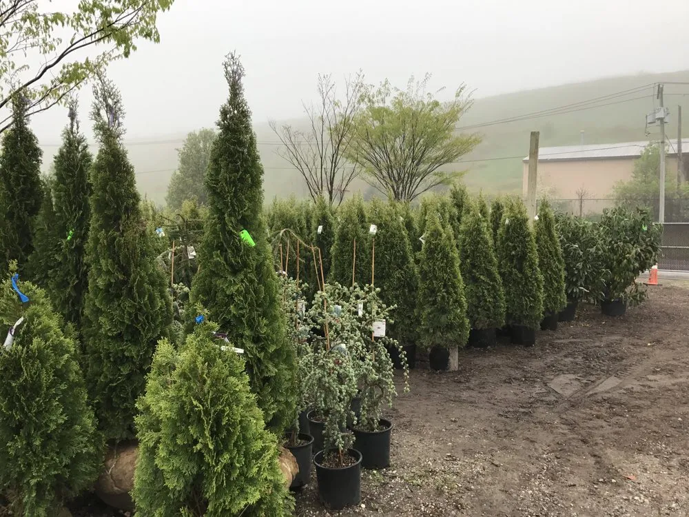 Trusted landscape installation in Kings Park, NY by East End Trees