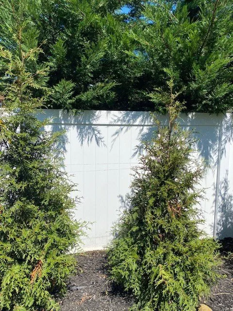 Reliable landscape installation with custom design across Kings Park, NY - East End Trees