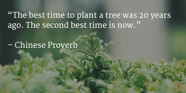 Custom landscape design in Kings Park, NY - East End Trees