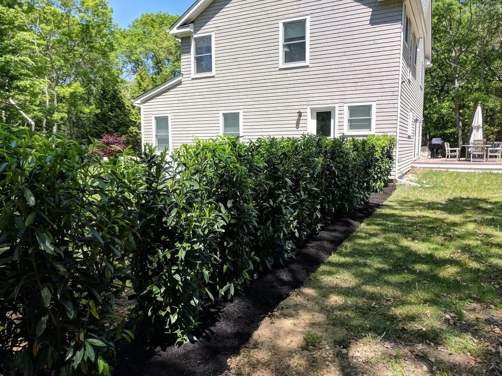 Expert residential landscaping in Kings Park, NY - East End Trees