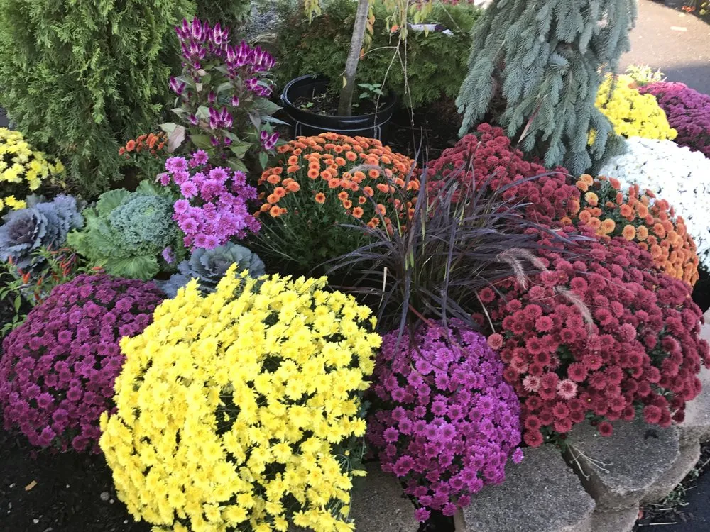 Custom outdoor landscaping near you across Kings Park, NY - East End Trees