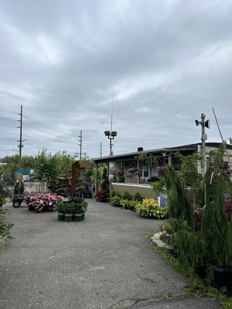 Top-rated lawn mowing service in Kings Park, NY - East End Trees