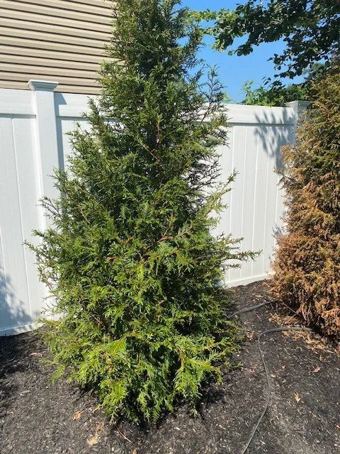 Affordable residential landscaping with custom design across Kings Park, NY - East End Trees