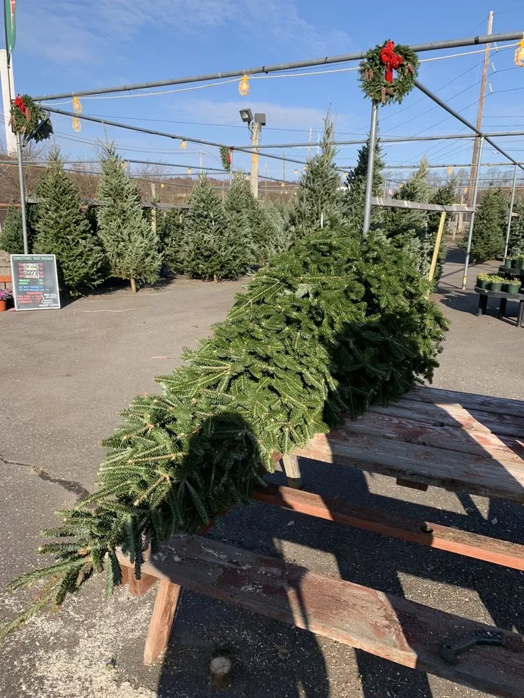 Custom residential landscaping for outdoor upgrades across Kings Park, NY - East End Trees