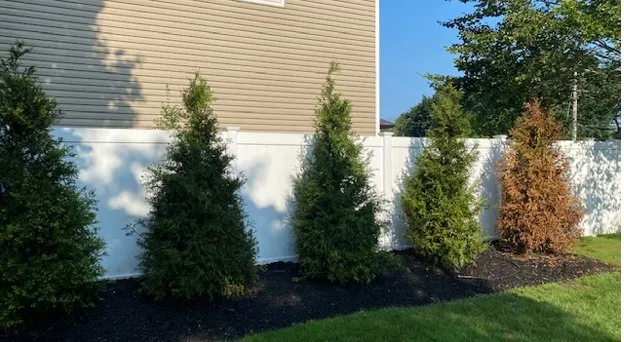Top-rated yard cleanup service in Kings Park, NY - East End Trees