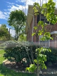 Trusted lawn mowing service with custom design across Kings Park, NY - East End Trees