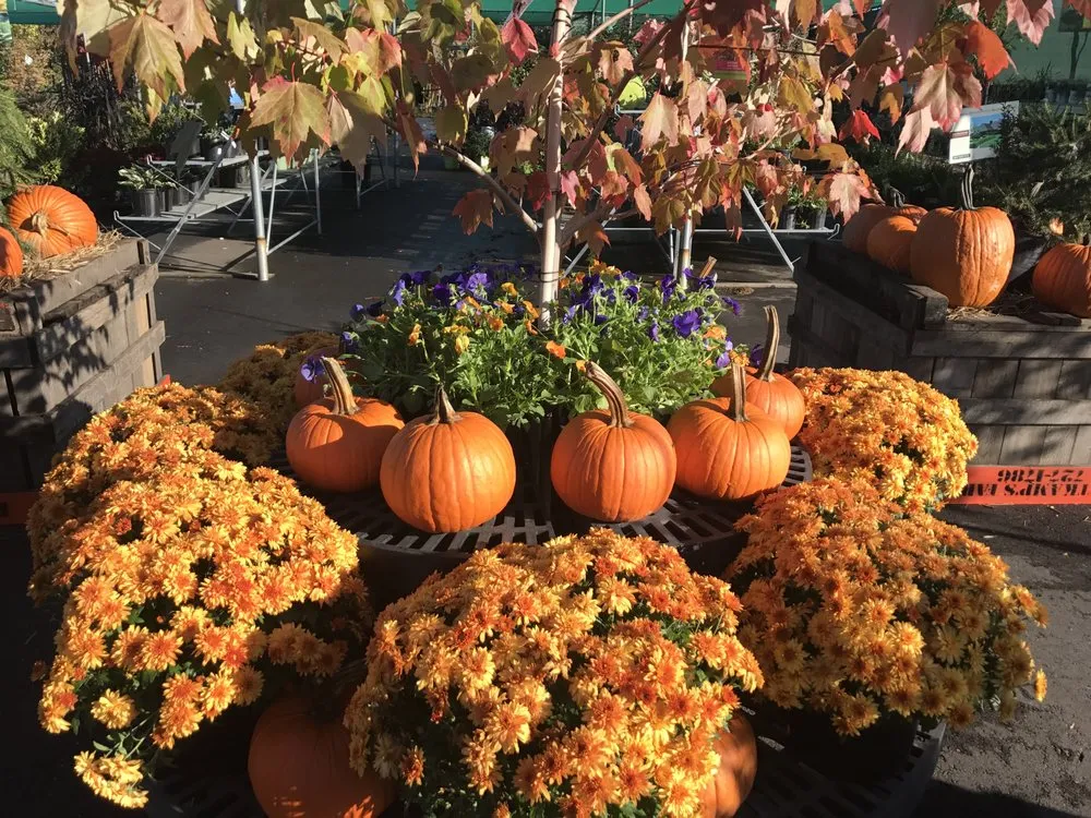 Reliable lawn mowing service for homes across Kings Park, NY - East End Trees