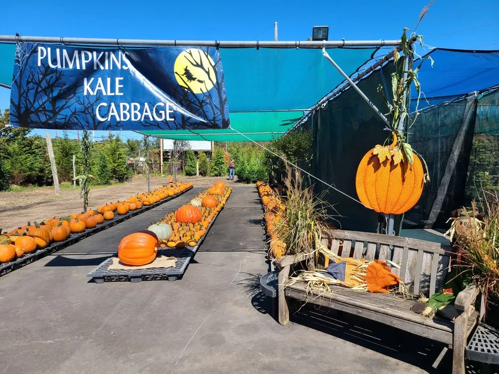 Affordable outdoor landscaping experts serving Kings Park, NY - East End Trees