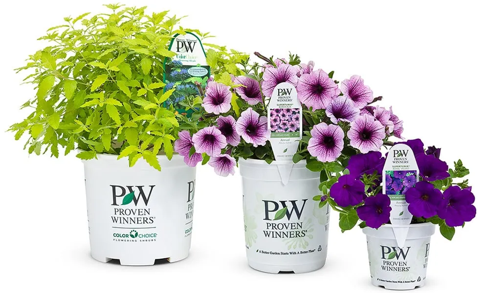 Trusted garden landscaping for beautiful yards in Kings Park, NY by East End Trees