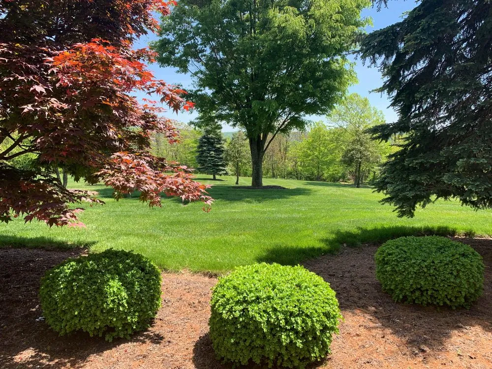 Professional landscaping services for outdoor upgrades across Bellefonte, PA - East Fork Properties