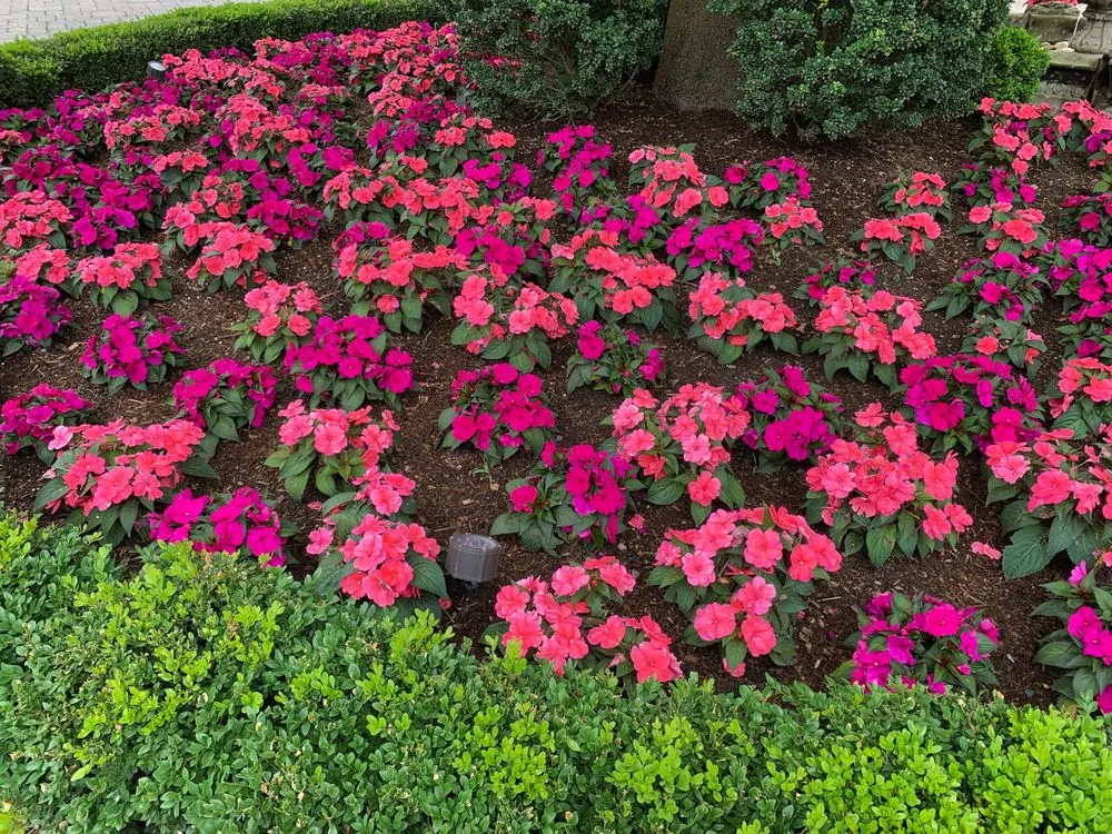 Affordable lawn care service with custom design in Bellefonte, PA by East Fork Properties