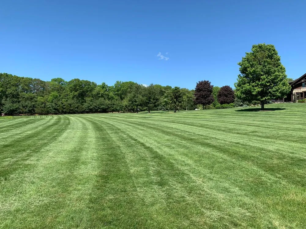 Affordable yard cleanup service for residential properties across Bellefonte, PA - East Fork Properties