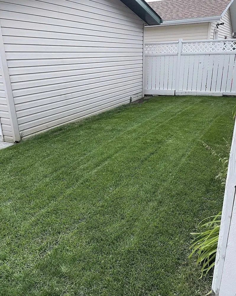 Affordable landscape design for homes in Fresno, CA by East Fresno Lawn Care