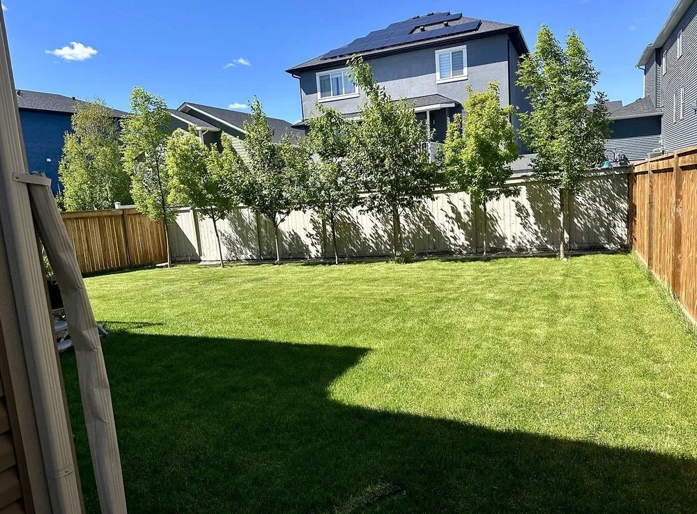 Affordable lawn mowing service for beautiful yards in Fresno, CA by East Fresno Lawn Care
