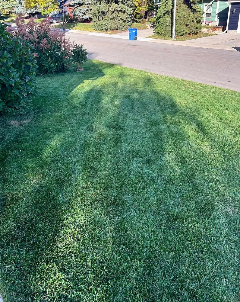 Custom outdoor landscaping in Fresno, CA by East Fresno Lawn Care