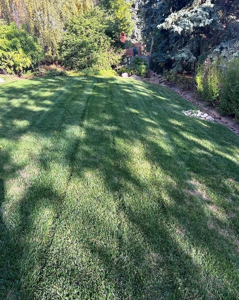 Expert garden landscaping in Fresno, CA - East Fresno Lawn Care