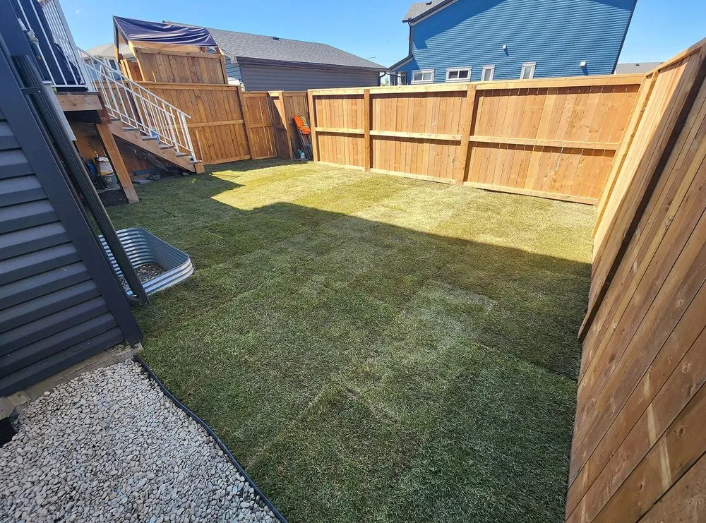 Local yard cleanup service in Fresno, CA - East Fresno Lawn Care