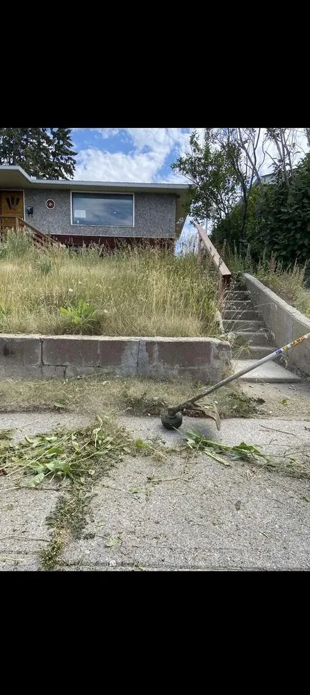 Professional lawn care service in Fresno, CA - East Fresno Lawn Care