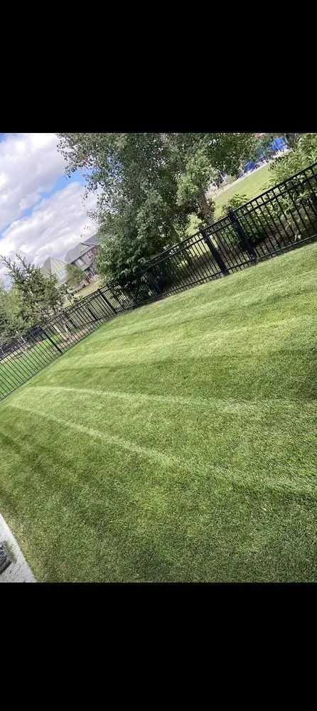 Custom outdoor landscaping experts serving Fresno, CA - East Fresno Lawn Care