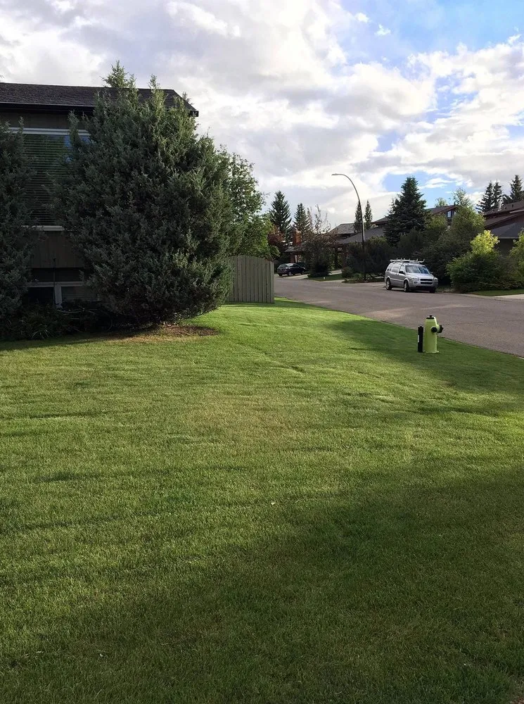 Custom outdoor landscaping experts serving Fresno, CA - East Fresno Lawn Care