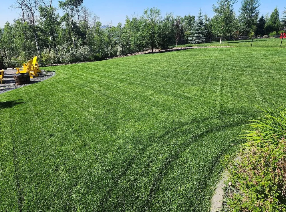 Top-rated outdoor landscaping for homes across Fresno, CA - East Fresno Lawn Care