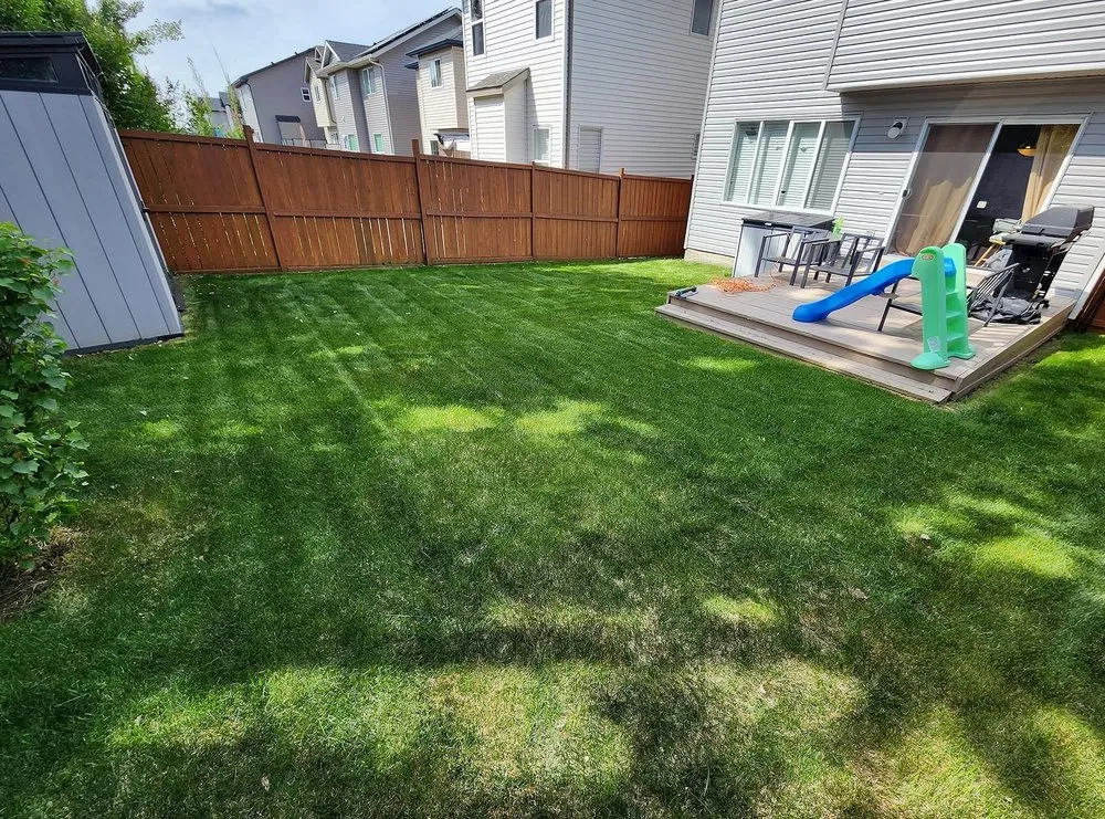 Local landscape installation in Fresno, CA by East Fresno Lawn Care