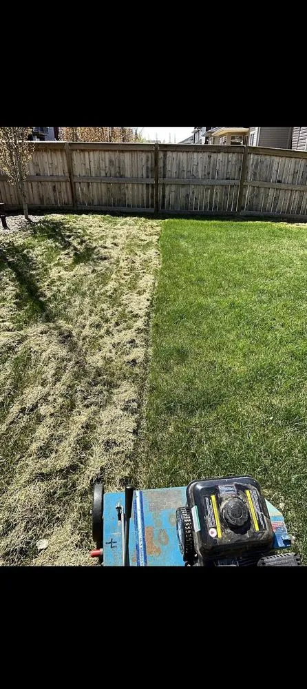 Reliable landscape installation experts serving Fresno, CA - East Fresno Lawn Care