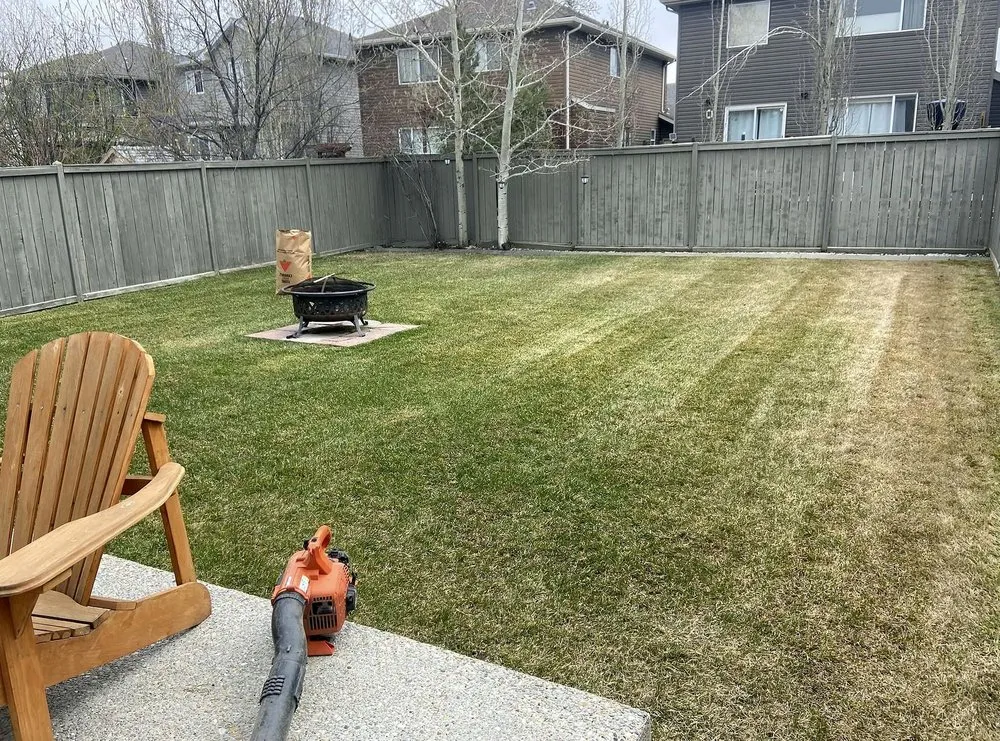 Professional residential landscaping in Fresno, CA by East Fresno Lawn Care
