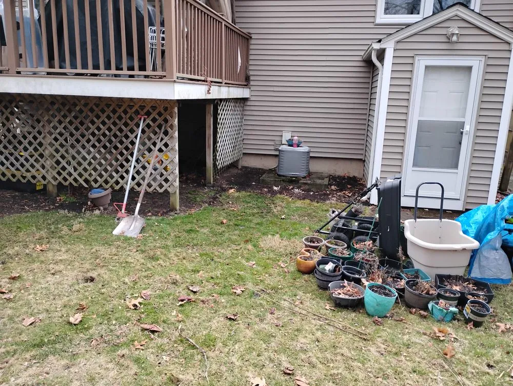 Expert yard cleanup service in East Greenwich, RI - East Greenwich Services
