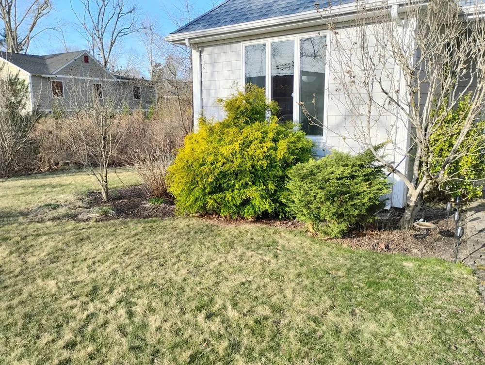 Top-rated yard cleanup service in East Greenwich, RI by East Greenwich Services