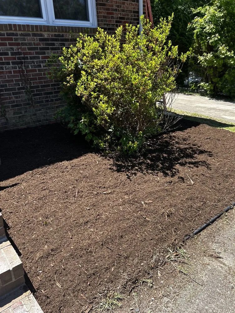 Top-rated landscape design in Eden, NC by East Hardscaping & Lawncare