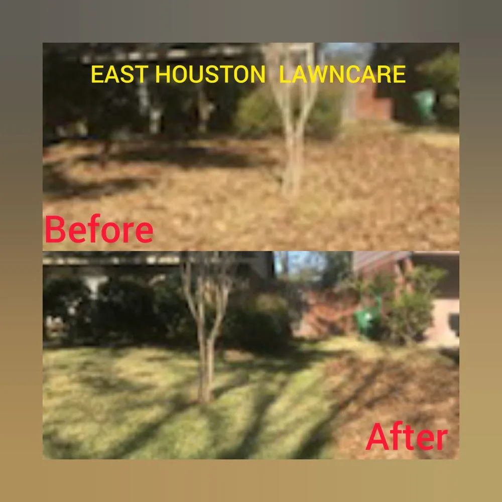 Custom landscape installation in Houston, TX by East Houston Lawn care