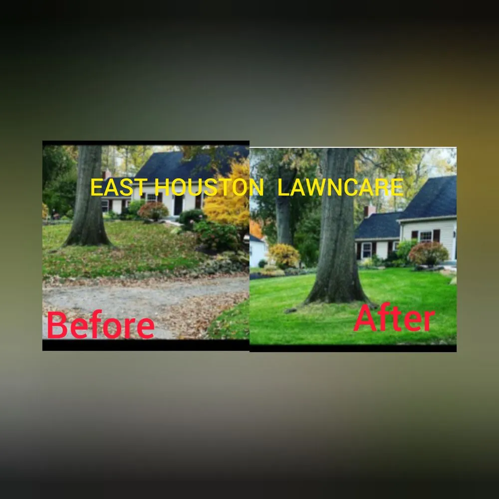 Professional landscape installation in Houston, TX by East Houston Lawn care