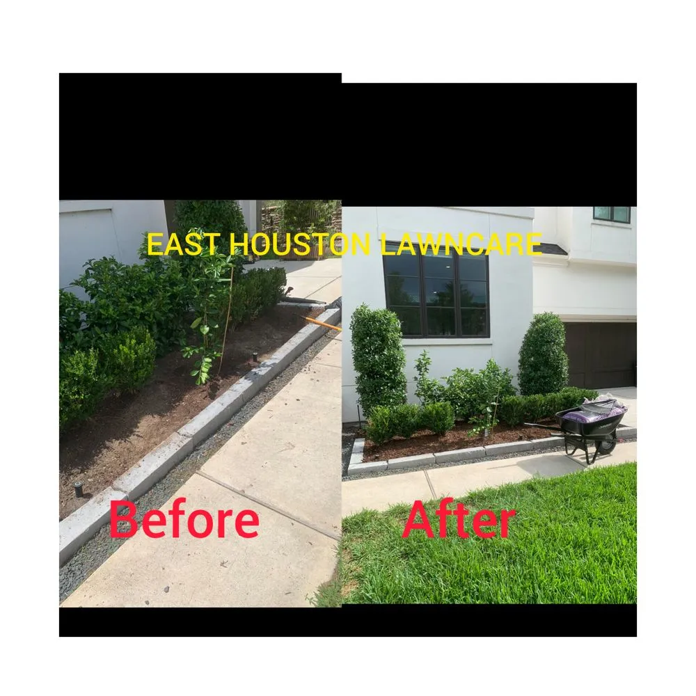 Top-rated lawn mowing service in Houston, TX by East Houston Lawn care