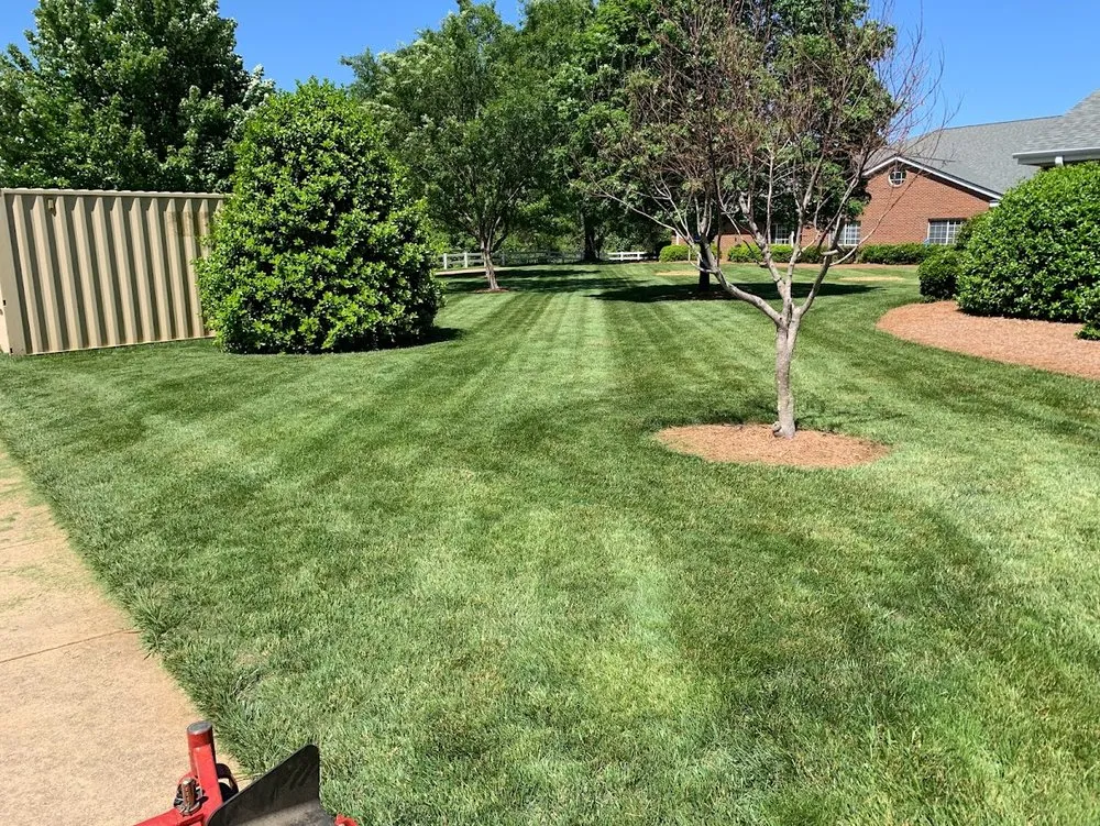 Custom yard cleanup service for outdoor upgrades across High Point, NC - East King Landscapes