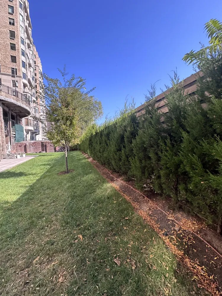 Professional yard cleanup service in New York, NY - East Landscaping