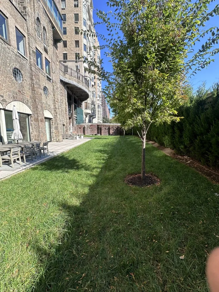 Custom lawn mowing service in New York, NY - East Landscaping