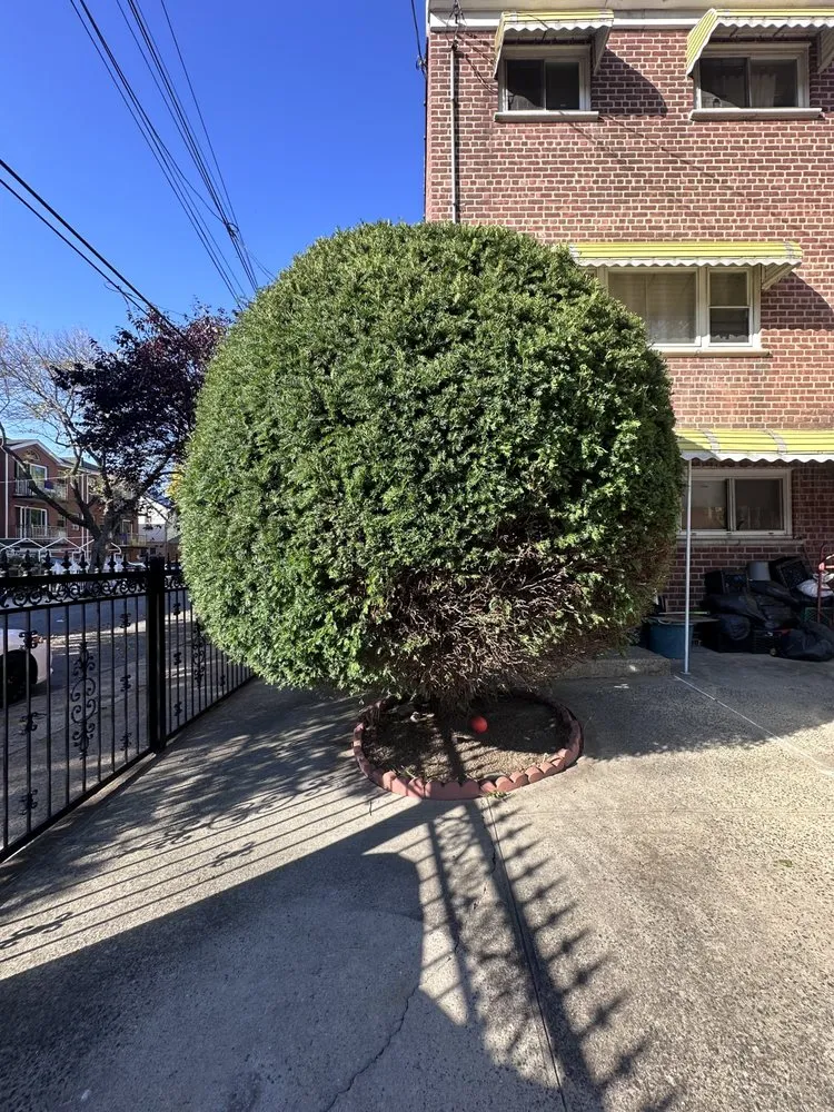 Trusted landscape design for outdoor upgrades across New York, NY - East Landscaping